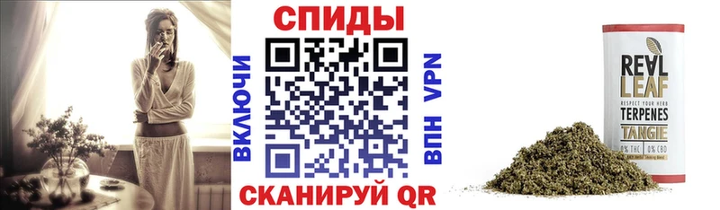 где найти наркотики  Чебоксары  Бутират BDO 