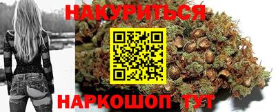 apvp Гусев